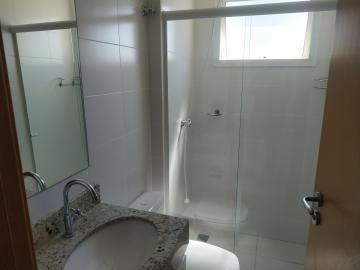 imagem 3 - Excelente apartamento próximo a Usp. imagem 3 - Excelente apartamento próximo a Usp.