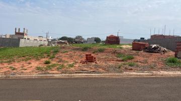 imagem 1 - Vila de Leon - Oportunidade imagem 1 - Vila de Leon - Oportunidade