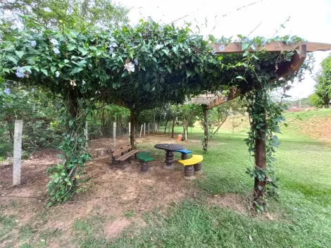 imagem 5 - Village Campo novo imagem 5 - Village Campo novo