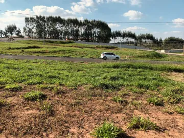 imagem 4 - Vendo Terreno Vila de Leon II imagem 4 - Vendo Terreno Vila de Leon II