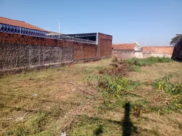 Alugar Terreno / Padrão em Bauru. apenas R$ 260.000,00