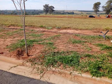 Terreno com ótima localização e topografia