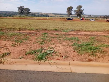 imagem 3 - Terreno com ótima localização e topografia imagem 3 - Terreno com ótima localização e topografia