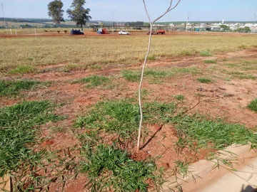 imagem 4 - Terreno com ótima localização e topografia imagem 4 - Terreno com ótima localização e topografia