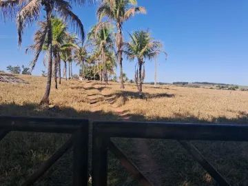 imagem 3 - Rural - Sítio imagem 3 - Rural - Sítio