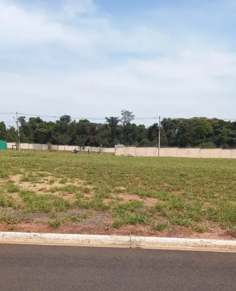 Terreno com 300m² no Residencial Villa de Leon I