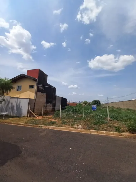 imagem 2 - Terreno - Padrão imagem 2 - Terreno - Padrão