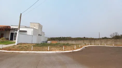imagem 3 - Terreno amplo no Residencial Primavera em Piratininga SP imagem 3 - Terreno amplo no Residencial Primavera em Piratininga SP