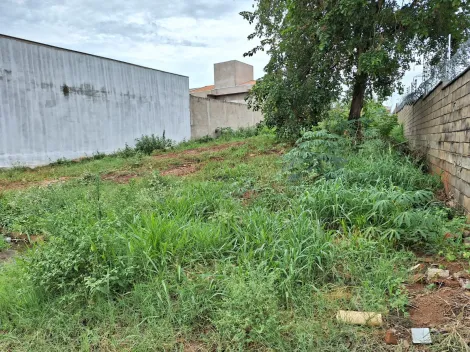 imagem 2 - Terreno no Parque das das Nações com ótima topografia. imagem 2 - Terreno no Parque das das Nações com ótima topografia.