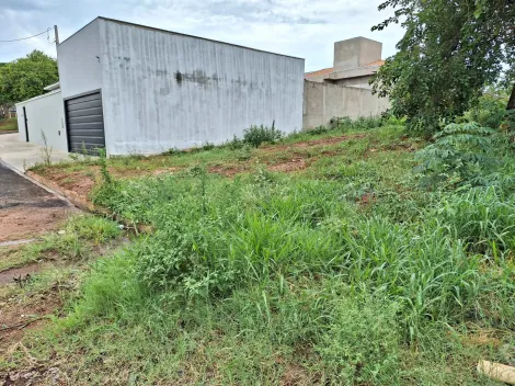 imagem 3 - Terreno no Parque das das Nações com ótima topografia. imagem 3 - Terreno no Parque das das Nações com ótima topografia.