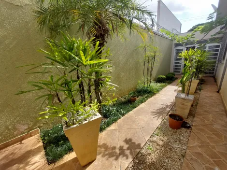 imagem 2 - Imóvel para venda - Bom p/ Comércio ou Serviço - prox à Duque de Caxias - 440m2 de terreno. imagem 2 - Imóvel para venda - Bom p/ Comércio ou Serviço - prox à Duque de Caxias - 440m2 de terreno.