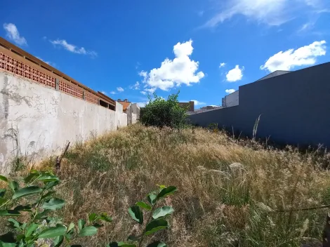 Terreno plano encaixado com 484m² no Jardim Aeroporto em Bauru