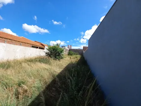 imagem 3 - Terreno plano encaixado com 484m² no Jardim Aeroporto em Bauru imagem 3 - Terreno plano encaixado com 484m² no Jardim Aeroporto em Bauru