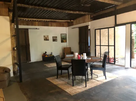 imagem 2 - Haras próximo a Arealva imagem 2 - Haras próximo a Arealva