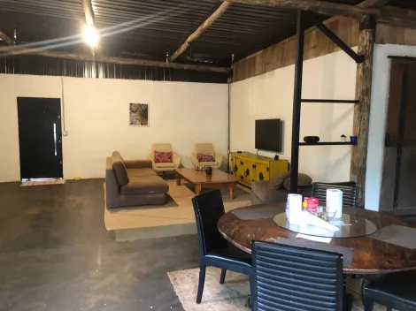 imagem 5 - Haras próximo a Arealva imagem 5 - Haras próximo a Arealva