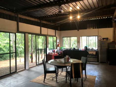 imagem 3 - Haras próximo a Arealva imagem 3 - Haras próximo a Arealva