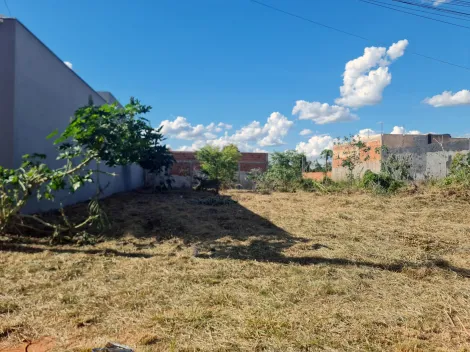 imagem 1 - Terreno no Vale do Igápo imagem 1 - Terreno no Vale do Igápo