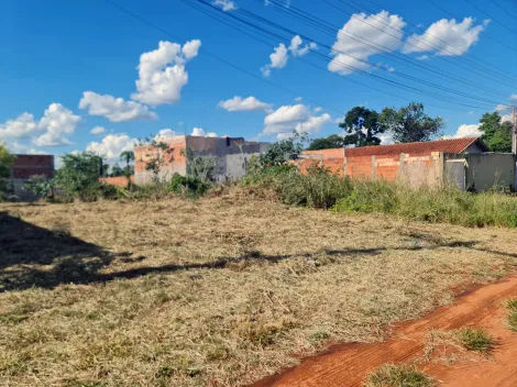 imagem 2 - Terreno no Vale do Igápo imagem 2 - Terreno no Vale do Igápo