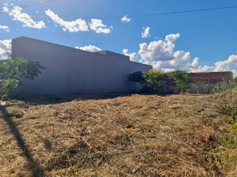 imagem 4 - Terreno no Vale do Igápo imagem 4 - Terreno no Vale do Igápo