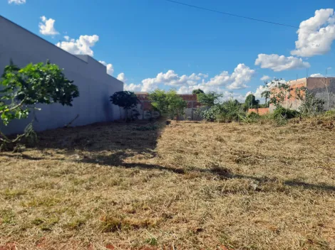 imagem 5 - Terreno no Vale do Igápo imagem 5 - Terreno no Vale do Igápo