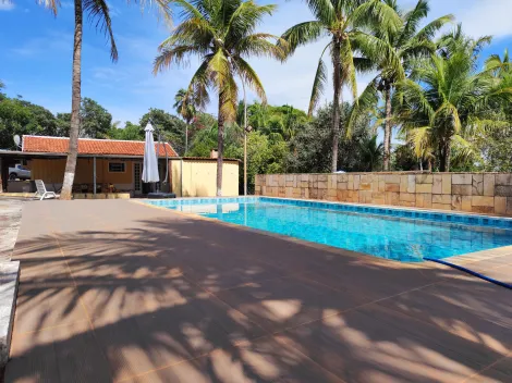 imagem 1 - Chácara Lindíssima com Canil próximo a cidade e asfalto imagem 1 - Chácara Lindíssima com Canil próximo a cidade e asfalto