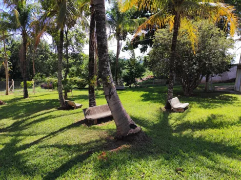 imagem 4 - Chácara Lindíssima com Canil próximo a cidade e asfalto imagem 4 - Chácara Lindíssima com Canil próximo a cidade e asfalto