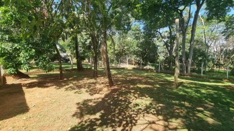 imagem 5 - Chácara Lindíssima com Canil próximo a cidade e asfalto imagem 5 - Chácara Lindíssima com Canil próximo a cidade e asfalto