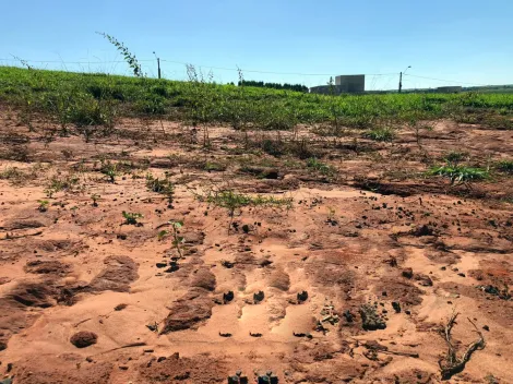 imagem 1 - Vendo Terreno Vila de Leon II imagem 1 - Vendo Terreno Vila de Leon II