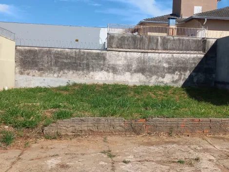 Terreno 244m em rua corredor comercial no Jardim Aeroporto em Bauru SP