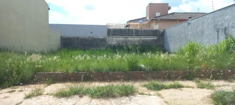 Terreno 244m² em rua corredor comercial no Jardim Aeroporto em Bauru SP