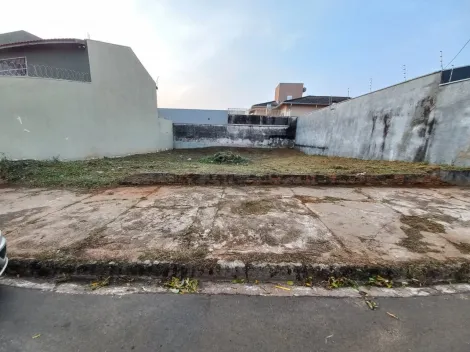 imagem 4 - Terreno 244m² em rua corredor comercial no Jardim Aeroporto em Bauru SP imagem 4 - Terreno 244m² em rua corredor comercial no Jardim Aeroporto em Bauru SP