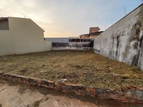 imagem 5 - Terreno 244m² em rua corredor comercial no Jardim Aeroporto em Bauru SP imagem 5 - Terreno 244m² em rua corredor comercial no Jardim Aeroporto em Bauru SP