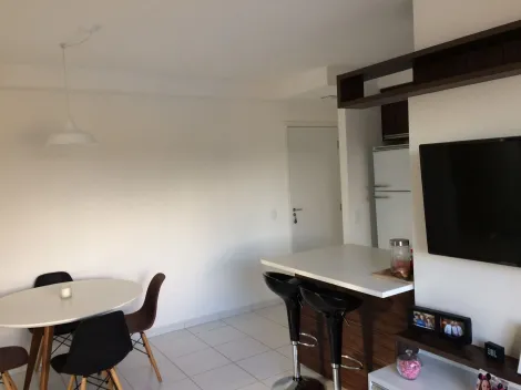 imagem 4 - Lindo Apartamento no Res. Pinheiro Machado, 2 quartos, 1 banheiro completo em armarios. imagem 4 - Lindo Apartamento no Res. Pinheiro Machado, 2 quartos, 1 banheiro completo em armarios.