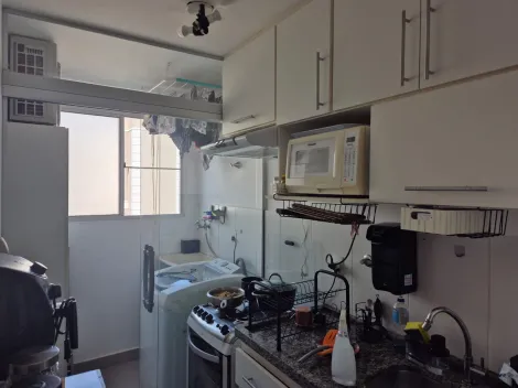 imagem 1 - Vendo Imóvel Jardim Contorno imagem 1 - Vendo Imóvel Jardim Contorno