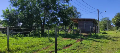 imagem 3 - Chácara com 1 alqueire no Residencial Santa Maria próximo a Tibiriçá em Bauru SP imagem 3 - Chácara com 1 alqueire no Residencial Santa Maria próximo a Tibiriçá em Bauru SP