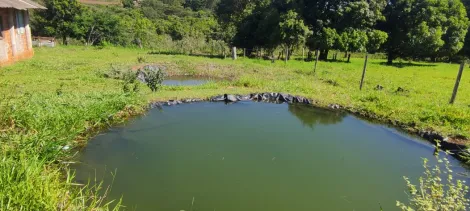 imagem 5 - Chácara com 1 alqueire no Residencial Santa Maria próximo a Tibiriçá em Bauru SP imagem 5 - Chácara com 1 alqueire no Residencial Santa Maria próximo a Tibiriçá em Bauru SP