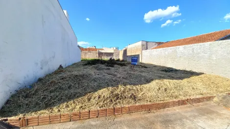 imagem 4 - Terreno com 258m² no Jardim Europa, plano, encaixado em Bauru SP imagem 4 - Terreno com 258m² no Jardim Europa, plano, encaixado em Bauru SP