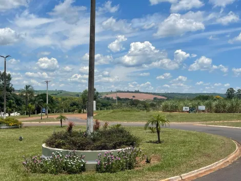 imagem 1 - Bairro Rural da Cidade de Borebi - 450 alqueires imagem 1 - Bairro Rural da Cidade de Borebi - 450 alqueires