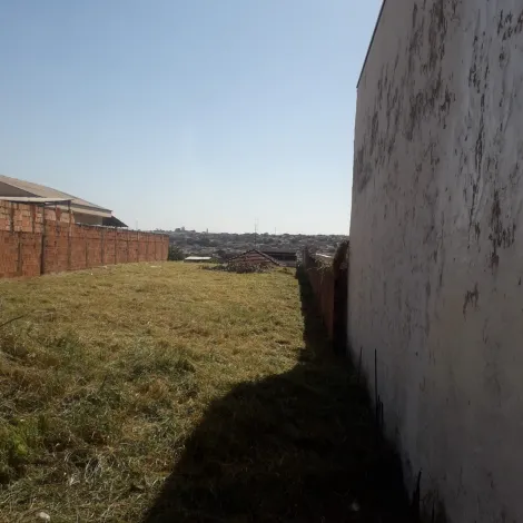 imagem 1 - Terreno na Vila São João do Ipiranga imagem 1 - Terreno na Vila São João do Ipiranga