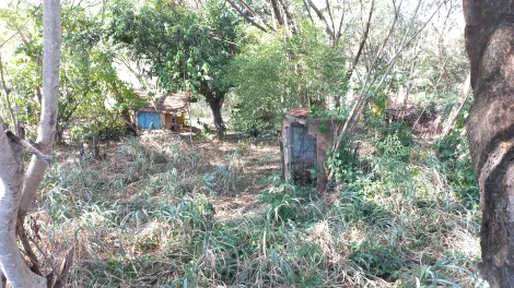 imagem 3 - Área com 6.050m² no Jardim Marambá em Bauru imagem 3 - Área com 6.050m² no Jardim Marambá em Bauru