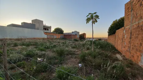 imagem 3 - Terreno na Vila Industrial em Bauru com 360m² plano imagem 3 - Terreno na Vila Industrial em Bauru com 360m² plano