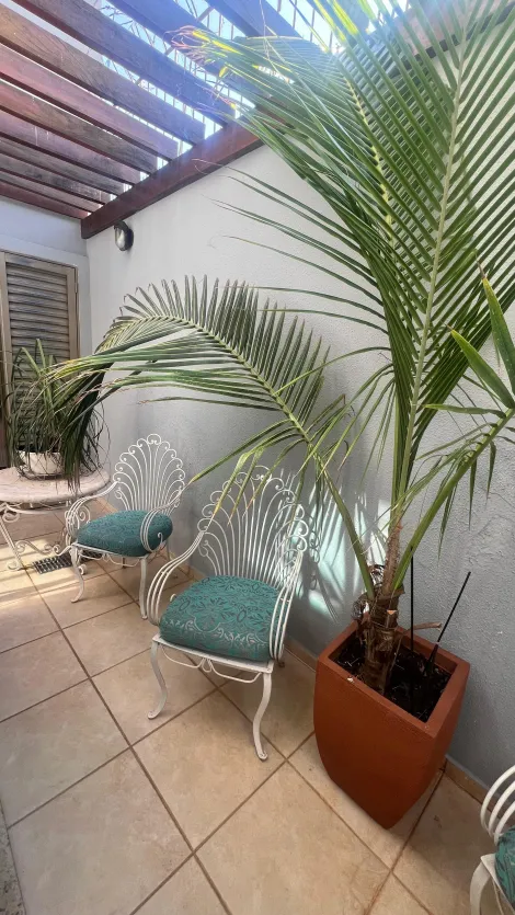 imagem 4 - Linda Casa com Área de lazer com piscina, 3 dormitórios sendo 2 suítes. imagem 4 - Linda Casa com Área de lazer com piscina, 3 dormitórios sendo 2 suítes.