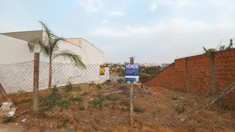 imagem 2 - Terreno amplo no Jardim Aeroporto em Bauru imagem 2 - Terreno amplo no Jardim Aeroporto em Bauru