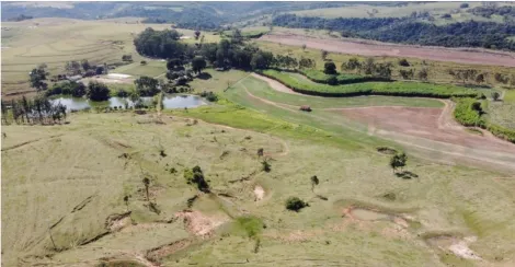 imagem 4 - Fazenda Bairro Rural - Fazenda 332,14 hectares imagem 4 - Fazenda Bairro Rural - Fazenda 332,14 hectares