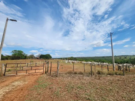 imagem 1 - Fazenda Àgua da Mata - 65 alqueires pastagem para gado imagem 1 - Fazenda Àgua da Mata - 65 alqueires pastagem para gado