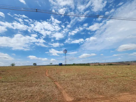 imagem 3 - Fazenda Àgua da Mata - 65 alqueires pastagem para gado imagem 3 - Fazenda Àgua da Mata - 65 alqueires pastagem para gado