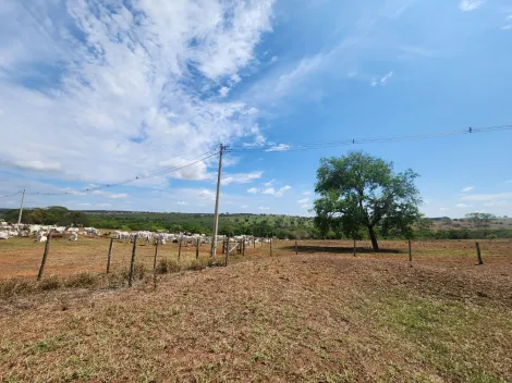 imagem 4 - Fazenda Àgua da Mata - 65 alqueires pastagem para gado imagem 4 - Fazenda Àgua da Mata - 65 alqueires pastagem para gado
