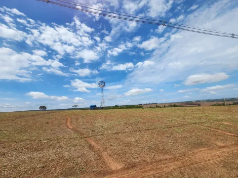imagem 5 - Fazenda Àgua da Mata - 65 alqueires pastagem para gado imagem 5 - Fazenda Àgua da Mata - 65 alqueires pastagem para gado
