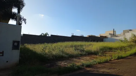 imagem 2 - Terrenos no Jardim Aeroporto em Bauru de esquina com 611m², plano ao lado do Residencial Estoril 5 imagem 2 - Terrenos no Jardim Aeroporto em Bauru de esquina com 611m², plano ao lado do Residencial Estoril 5