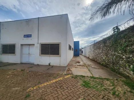 imagem 3 - Vila Aviação - Barracão com área externa ampla imagem 3 - Vila Aviação - Barracão com área externa ampla